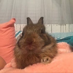 Meet your Posher, Kilissa